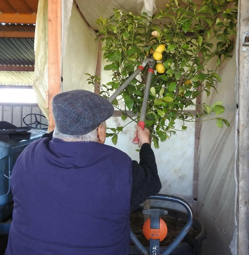 Bed & Breakfast B&B El Ranxo Franciach